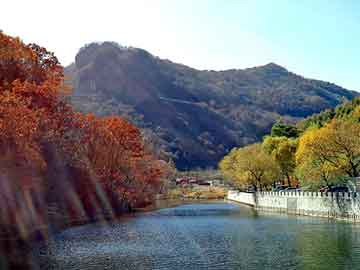 澳门二四六天天彩图库，二郎神倒车雷达